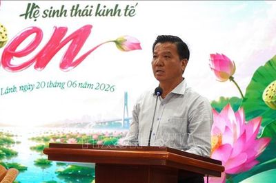 Nâng chất lượng và giá trị cây sen Đồng Tháp