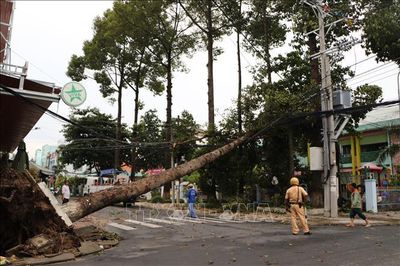 Đồng Tháp: Dông lốc làm sập, tốc mái gần 10 căn nhà và thiệt hại nhiều hoa màu