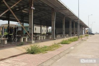 Luồng lạch bồi lắng 'bóp nghẹt' cảng cá trăm tỷ