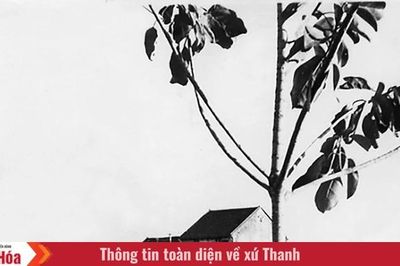Ngày này năm xưa (20/6): Chủ tịch Hồ Chí Minh ra 'Lời kêu gọi gửi nhân dân thế giới'
