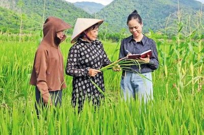 'Tòa soạn một người' ở xã: Khoảng lặng sau những bản tin