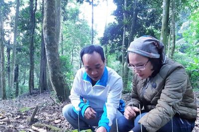 'Nhớ bản sương giăng, nhớ đèo mây phủ'