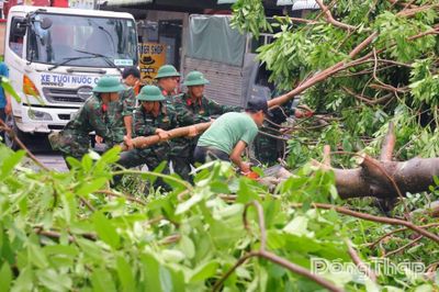 Đồng Tháp: Khẩn trương khắc phục hậu quả dông lốc, sớm ổn định đời sống người dân