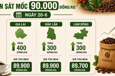 Ngày 20-6, giá cà phê tiến sát mốc 90.000 đồng/kg