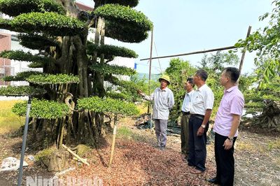 Ninh Bình triển khai phong trào 'Gửi tiền tiết kiệm chung tay vì người nghèo'