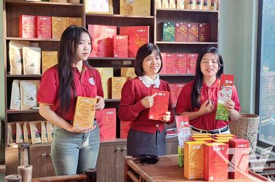 Thành lập mới 35 hợp tác xã và tổ hợp tác