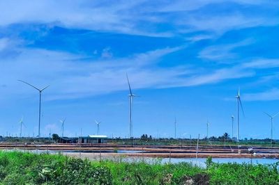 Cà Mau: Đẩy mạnh thu hút đầu tư, phát triển năng lượng tái tạo