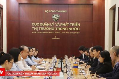 Việt Nam và Nhật Bản đẩy mạnh hợp tác chống xâm phạm quyền sở hữu trí tuệ