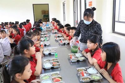 Dự kiến nâng mức hỗ trợ bữa trưa cho học sinh tiểu học
