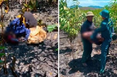 Đau lòng phát hiện 2 vợ chồng tử vong trong khu rừng bị cháy ở Hà Tĩnh: Hé lộ nguyên nhân ban đầu