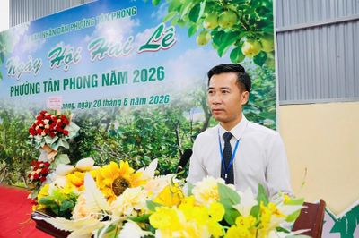 Lai Châu: Rộn ràng ngày hội hái Lê phường Tân Phong năm 2026