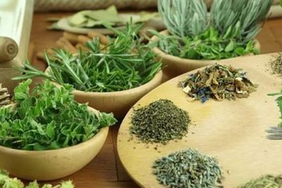 Bộ Y tế phân cấp việc đánh giá, bổ sung dược liệu đạt GACP cho UBND tỉnh từ 1/7