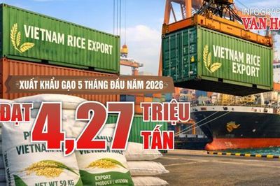 Xuất khẩu gạo 5 tháng đầu năm 2026 đạt 4,27 triệu tấn, thu về 2 tỉ USD