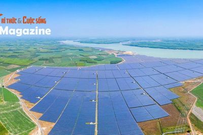 Từ Net Zero đến Việt Nam Xanh: Tái định hình nền kinh tế!