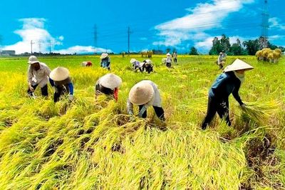 'Làm mới' vai trò của người nông dân