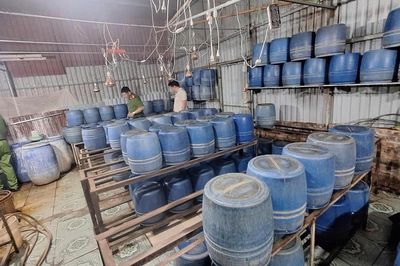 Chủ cơ sở sản xuất gần 800kg giá đỗ bằng chất cấm ở Hưng Yên