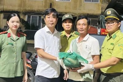 Người dân Huế giao nộp 26 cá thể động vật hoang dã, quý hiếm