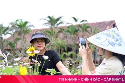 Review du lịch: Lan tỏa hình ảnh hay nhiễu loạn thông tin?