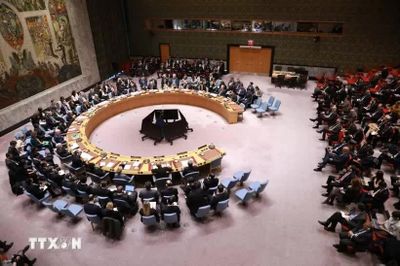 Các nước Arab tái khẳng định giải pháp hai nhà nước cho Palestine