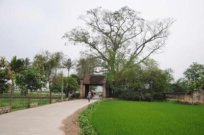 Giữ hồn làng trong quá trình sắp xếp thôn, tổ dân phố