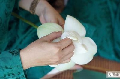 Du khách thích thú ngắm sen, thưởng tiệc cung đình giữa Đảo Bồng Lai