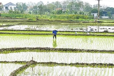 Nâng cao kỹ năng sử dụng thuốc bảo vệ thực vật cho nông dân