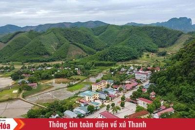 Màu xanh trên vùng đất Tân Thành