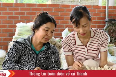 Người phụ nữ trẻ làm giàu từ cây sả