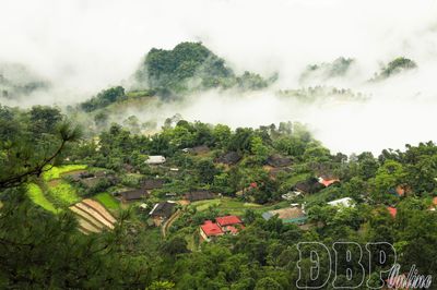 Bình yên Po Chua Lừ