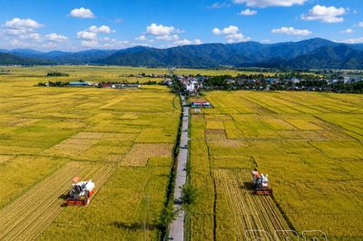 Phát huy hiệu quả chỉ dẫn địa lý gạo Điện Biên