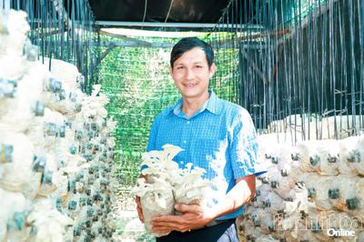 Bỏ phố về làng vì mê trồng nấm