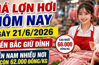 Giá lợn hơi hôm nay 21/6: Chênh lệch Bắc - Nam tiếp tục rõ nét