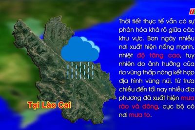 Dự báo thời tiết ngày 21/6
