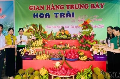 Cùng nông dân kiến tạo giá trị mới từ nông nghiệp