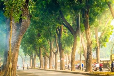 Dự báo thời tiết ngày 21/6: Miền Bắc nắng nóng gay gắt, miền Nam mưa dông