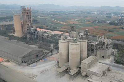 Vicem báo lãi hơn 500 tỷ đồng trong 6 tháng đầu năm