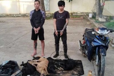 Bắt hai đối tượng trộm chó dùng súng điện bắn vào lực lượng truy đuổi