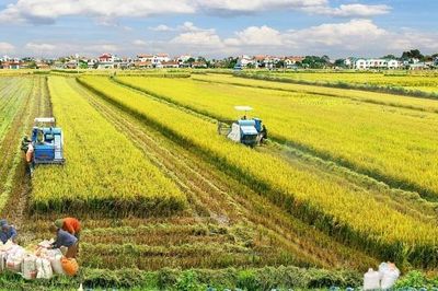 Hiện thực hóa khát vọng phát triển kinh tế nông nghiệp sinh thái, hữu cơ, tuần hoàn