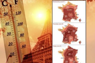 Pháp cấm uống rượu tại lễ hội âm nhạc vì nắng nóng kỷ lục