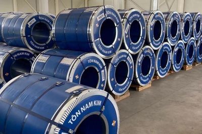 Hai kiểm toán viên bị đình chỉ do sai sót trong báo cáo tài chính của Thép Nam Kim