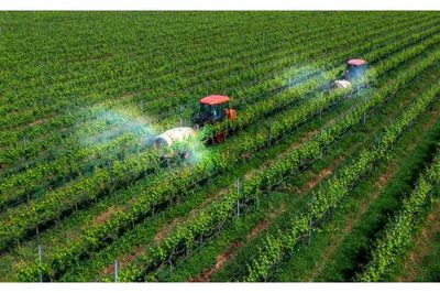 TOÀN VĂN: Nghị định 214/2026/NĐ-CP xử phạt vi phạm hành chính về trồng trọt, bảo vệ và kiểm dịch thực vật
