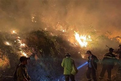 Nghệ An: Huy động hàng trăm người chữa cháy rừng