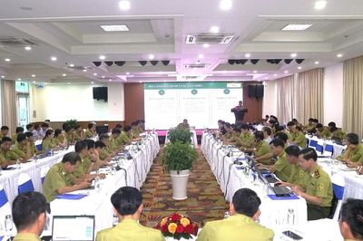 Triển khai quy định xử phạt vi phạm hành chính trong lĩnh vực lâm nghiệp cho khu vực miền trung và nam bộ