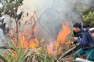 Bộ Chỉ huy Quân sự tỉnh Nghệ An huy động hàng trăm cán bộ, chiến sĩ chữa cháy rừng