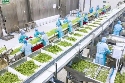 Triển lãm Quốc tế lần thứ 2 về công nghiệp chế biến, đóng gói và bảo quản nông sản và thực phẩm Việt Nam