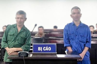Anh em ruột lĩnh án tù vì tranh chấp con bò