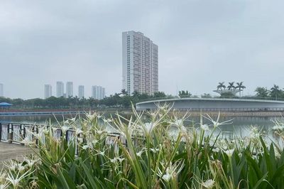 Từ nay đến 20-7: Bắc bộ và Trung bộ còn nhiều đợt nắng nóng, Nam bộ nhiều ngày mưa dông