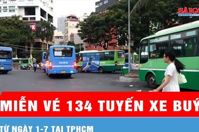Từ ngày 1-7: TPHCM miễn vé 134 tuyến xe buýt