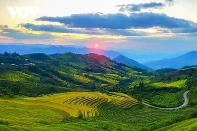 Tích hợp hệ sinh thái đào tạo song hành vào kinh tế tuần hoàn trong nông nghiệp công nghệ cao tại Lai Châu