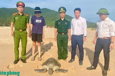 Thả rùa biển quý hiếm nặng 40 kg về môi trường tự nhiên
